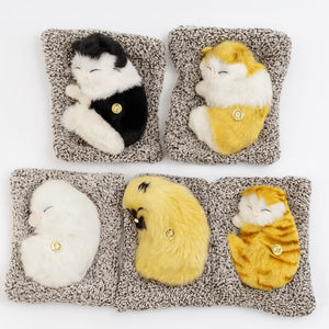 Sleeping Cat Plush Toy with Sound
